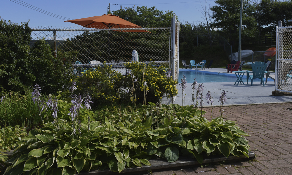 swimming pool